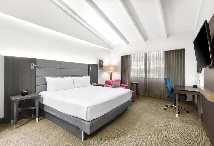 스탠다드 룸 킹사이즈 침대, Crowne Plaza San Jose La Sabana, An Ihg