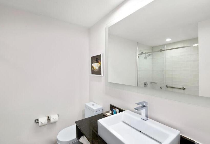 스탠다드 룸 킹사이즈 침대, Crowne Plaza San Jose La Sabana, An Ihg