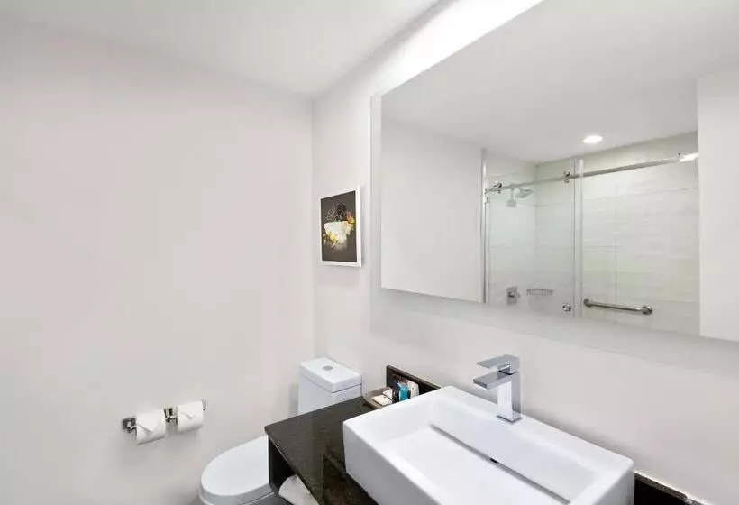 キングサイズベッドのスタンダードルーム, Crowne Plaza San Jose La Sabana, An Ihg