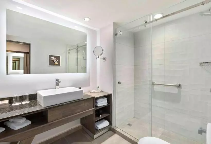 キングサイズベッドのスタンダードルーム, Crowne Plaza San Jose La Sabana, An Ihg