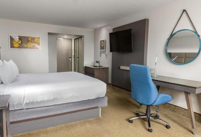 스탠다드 룸 킹사이즈 침대, Crowne Plaza San Jose La Sabana, An Ihg