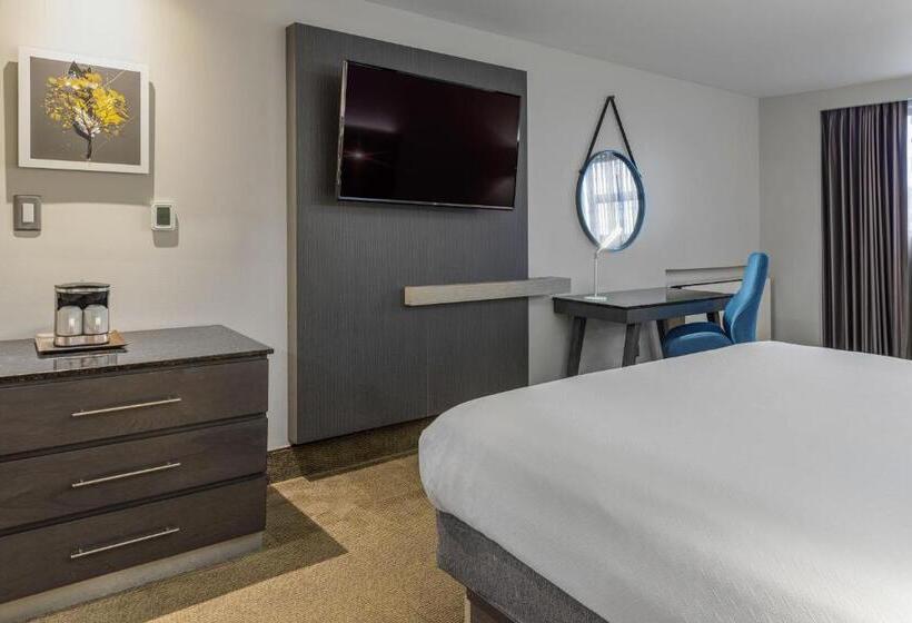 스탠다드 룸 킹사이즈 침대, Crowne Plaza San Jose La Sabana, An Ihg