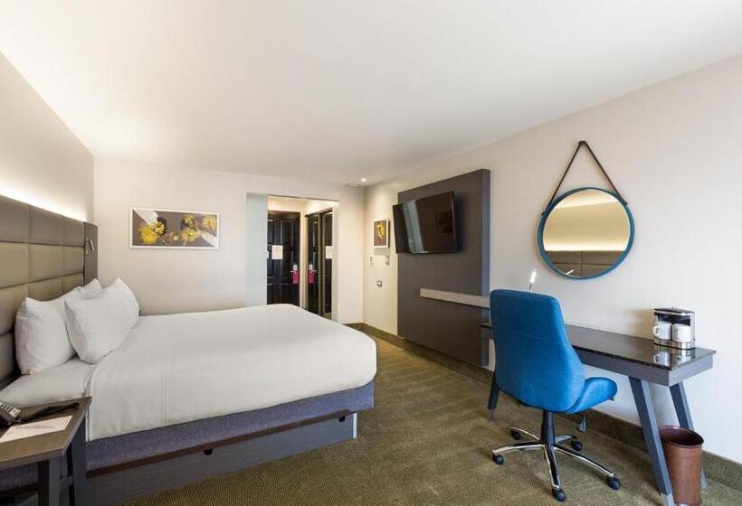 스탠다드 룸 킹사이즈 침대, Crowne Plaza San Jose La Sabana, An Ihg