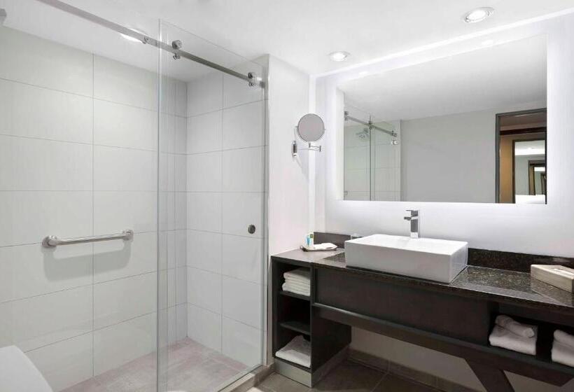 스탠다드 룸, Crowne Plaza San Jose La Sabana, An Ihg