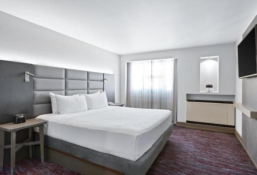 프리미엄 룸, Crowne Plaza San Jose La Sabana, An Ihg