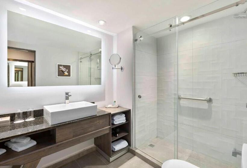 클럽 룸 킹침대, Crowne Plaza San Jose La Sabana, An Ihg