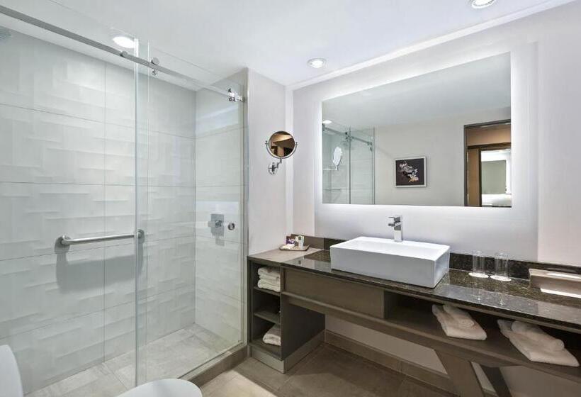 클럽 룸, Crowne Plaza San Jose La Sabana, An Ihg