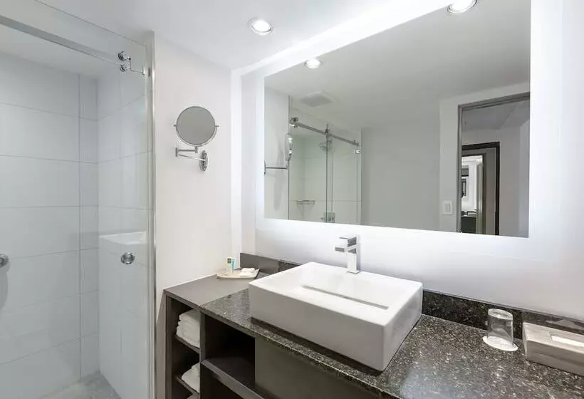 スタンダードルーム, Crowne Plaza San Jose La Sabana, An Ihg
