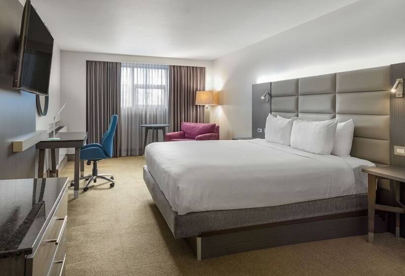 스탠다드 룸, Crowne Plaza San Jose La Sabana, An Ihg