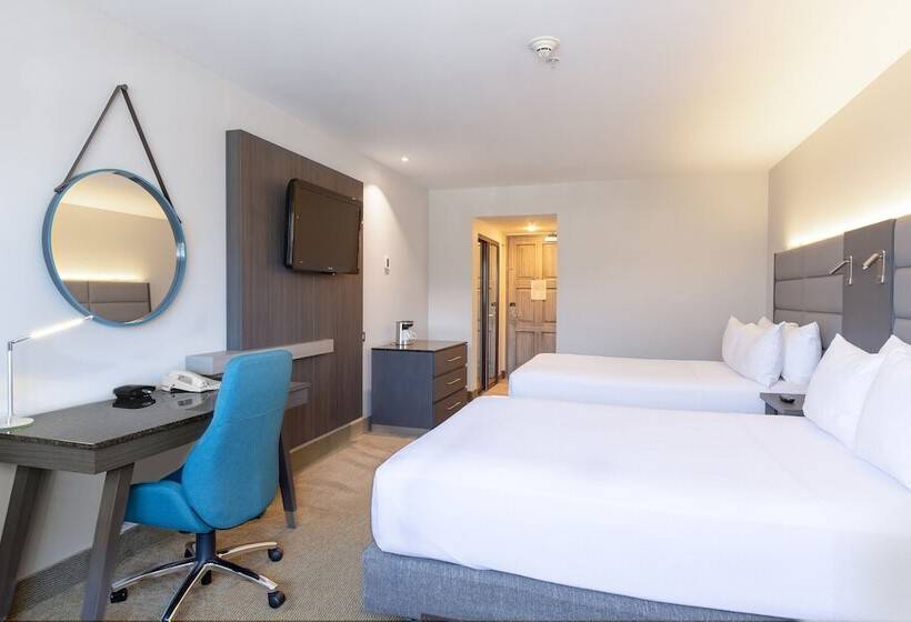 스탠다드 룸 더블 침대 2개, Crowne Plaza San Jose La Sabana, An Ihg