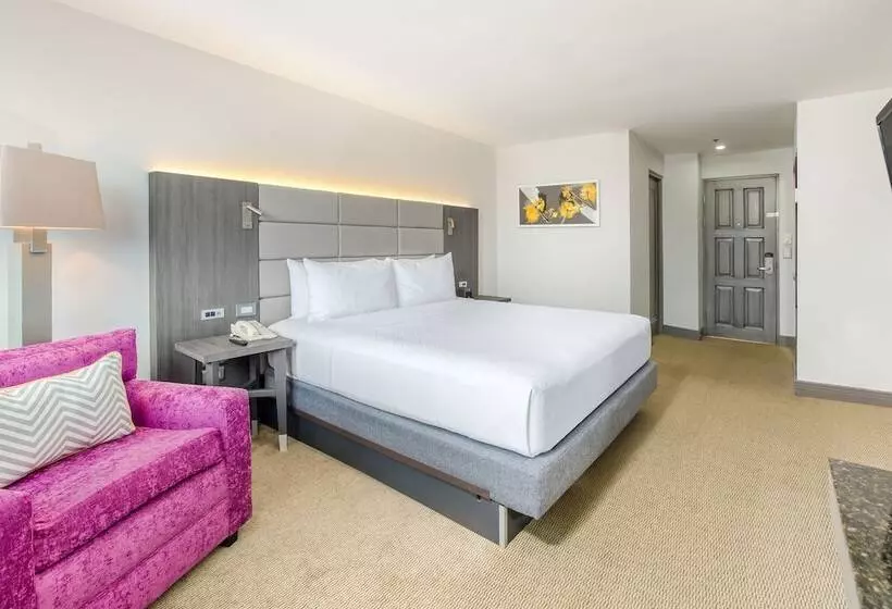 プレミアムルーム, Crowne Plaza San Jose La Sabana, An Ihg