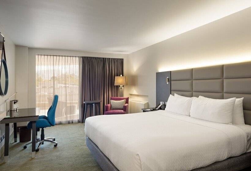 클럽 룸, Crowne Plaza San Jose La Sabana, An Ihg