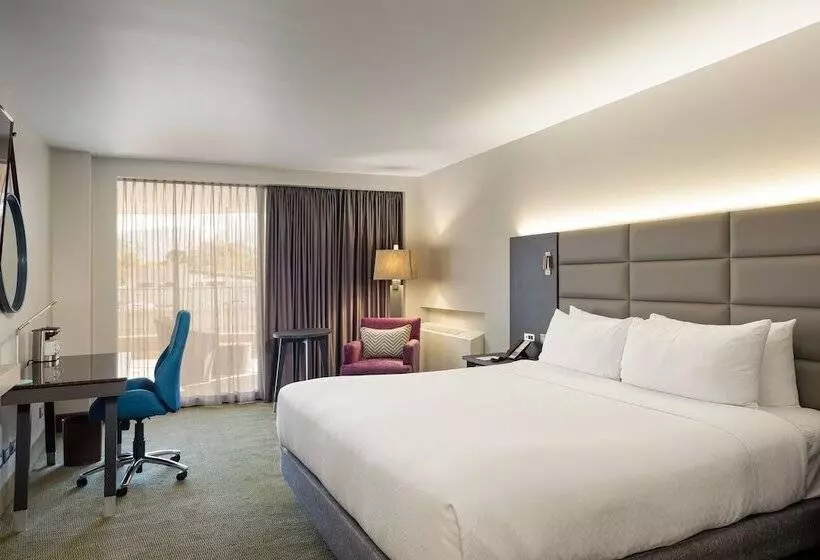 クラブルーム, Crowne Plaza San Jose La Sabana, An Ihg