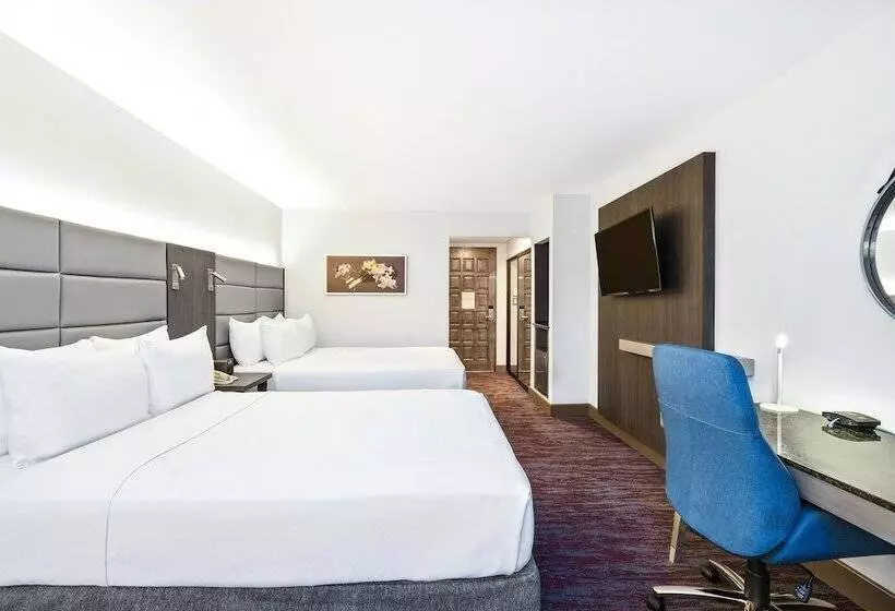クラブルーム, Crowne Plaza San Jose La Sabana, An Ihg