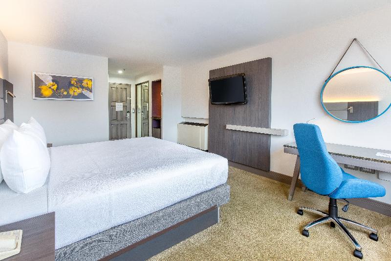 스탠다드 룸 킹사이즈 침대, Crowne Plaza San Jose La Sabana, An Ihg