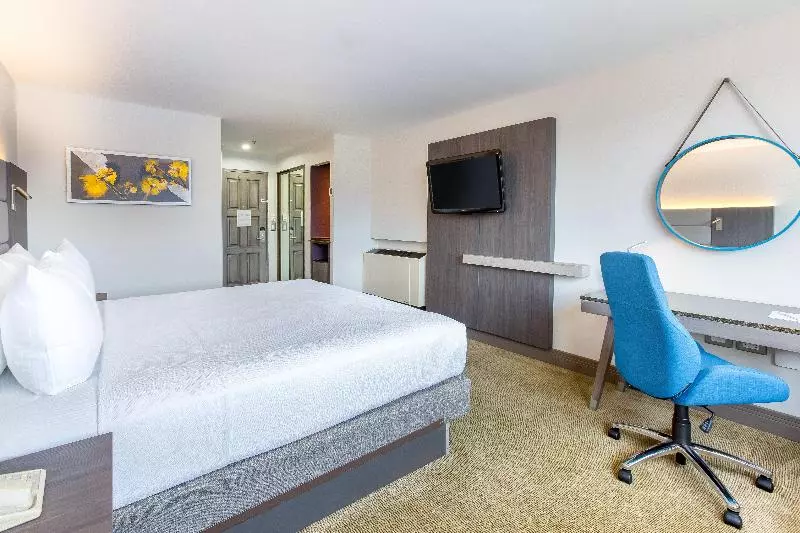キングサイズベッドのスタンダードルーム, Crowne Plaza San Jose La Sabana, An Ihg