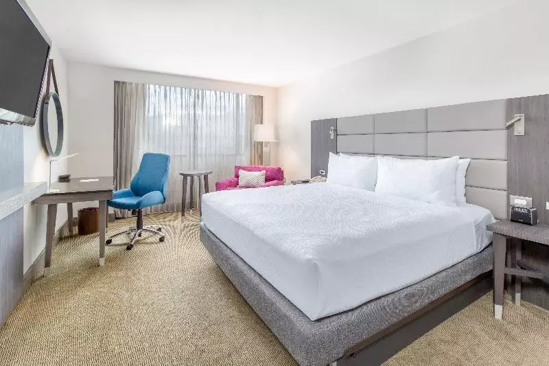 キングサイズベッドのスタンダードルーム, Crowne Plaza San Jose La Sabana, An Ihg