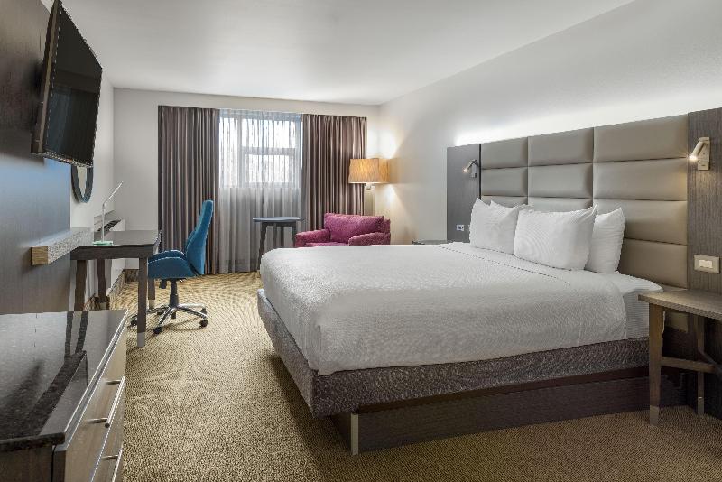 스탠다드 룸 킹사이즈 침대, Crowne Plaza San Jose La Sabana, An Ihg