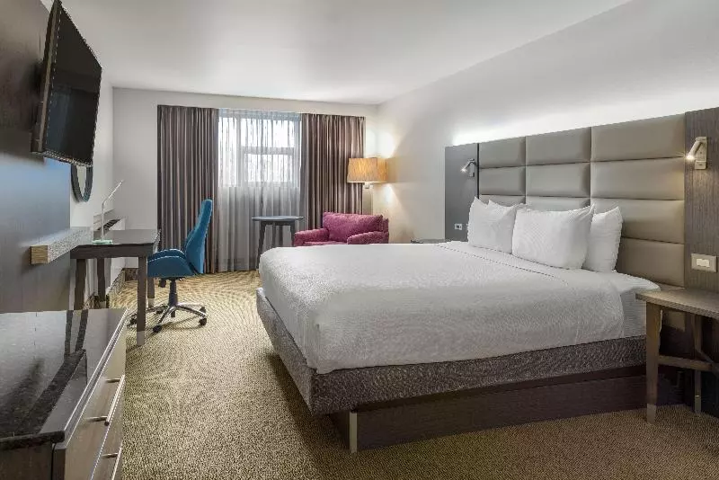 キングサイズベッドのスタンダードルーム, Crowne Plaza San Jose La Sabana, An Ihg