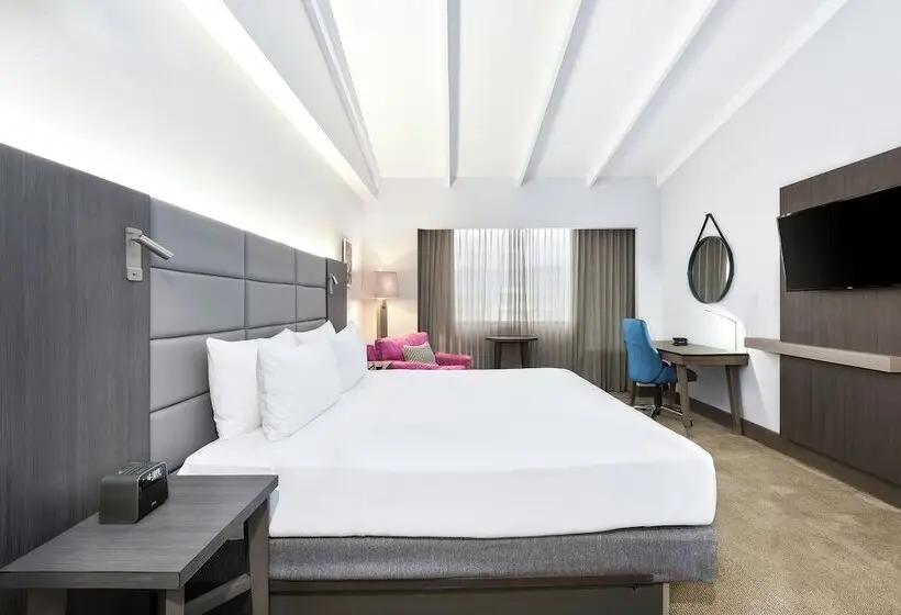 クラブルーム, Crowne Plaza San Jose La Sabana, An Ihg