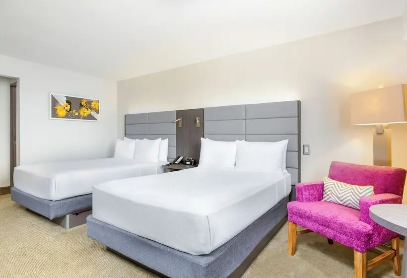 ２ダブルベッドのスタンダードルーム, Crowne Plaza San Jose La Sabana, An Ihg