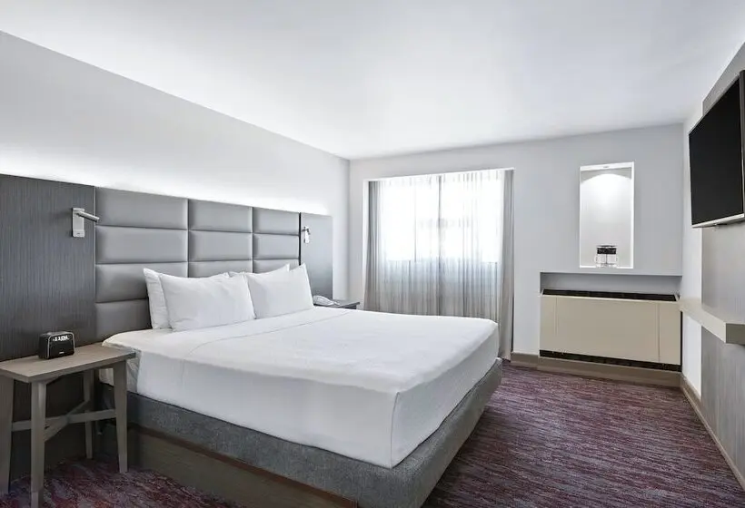 プレミアムルーム, Crowne Plaza San Jose La Sabana, An Ihg
