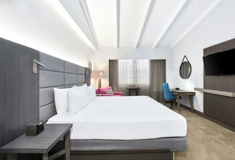 クラブルーム, Crowne Plaza San Jose La Sabana, An Ihg