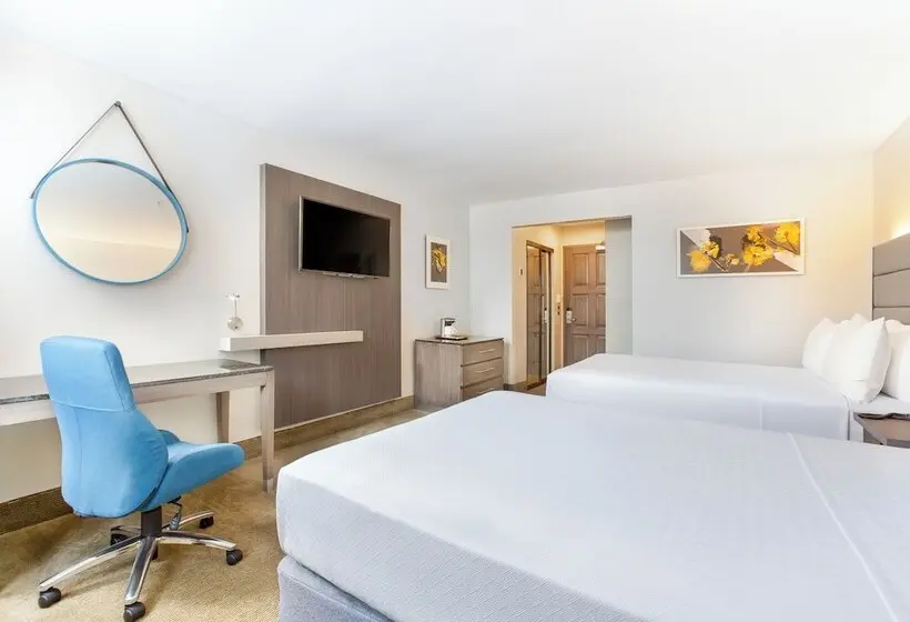 スタンダードルーム, Crowne Plaza San Jose La Sabana, An Ihg