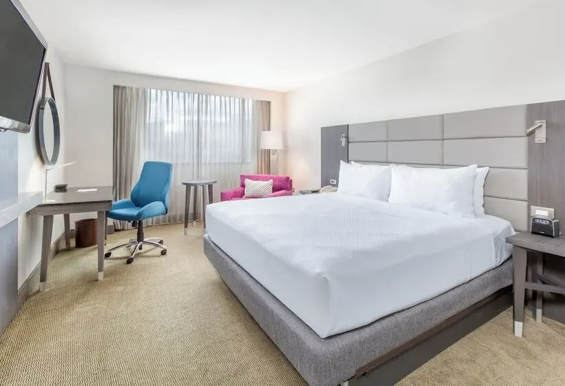 スタンダードルーム, Crowne Plaza San Jose La Sabana, An Ihg