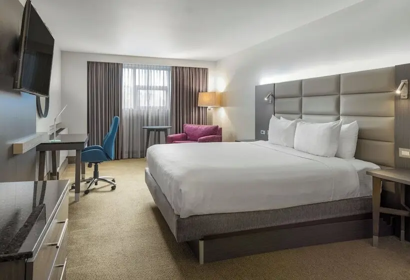 スタンダードルーム, Crowne Plaza San Jose La Sabana, An Ihg