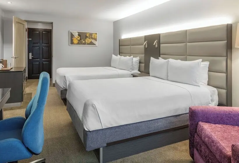 ２ダブルベッドのスタンダードルーム, Crowne Plaza San Jose La Sabana, An Ihg