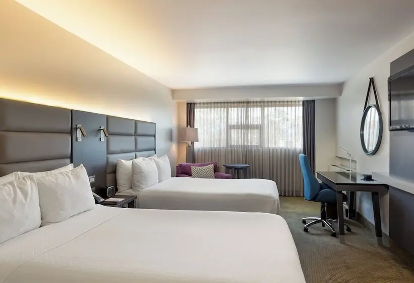２ダブルベッドのスタンダードルーム, Crowne Plaza San Jose La Sabana, An Ihg