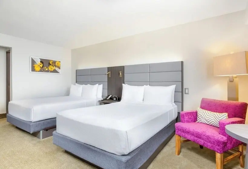 ２ダブルベッドのスタンダードルーム, Crowne Plaza San Jose La Sabana, An Ihg