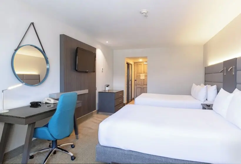 ２ダブルベッドのスタンダードルーム, Crowne Plaza San Jose La Sabana, An Ihg