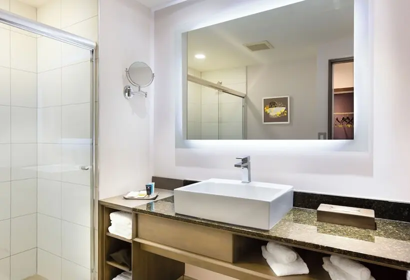 ２ダブルベッドのスタンダードルーム, Crowne Plaza San Jose La Sabana, An Ihg