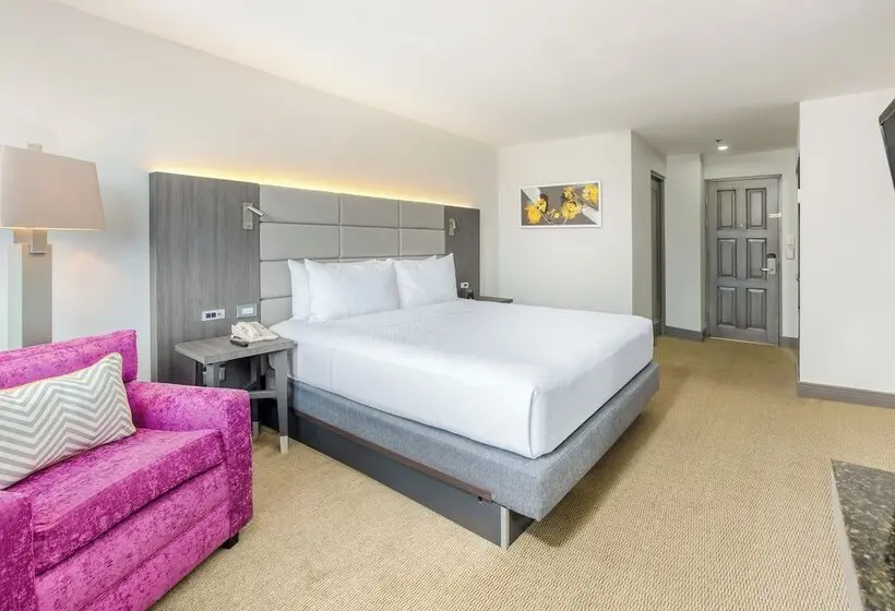 プレミアムルーム, Crowne Plaza San Jose La Sabana, An Ihg