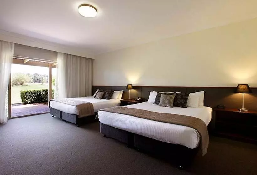 اتاق اجرایی, Harrigan S Hunter Valley