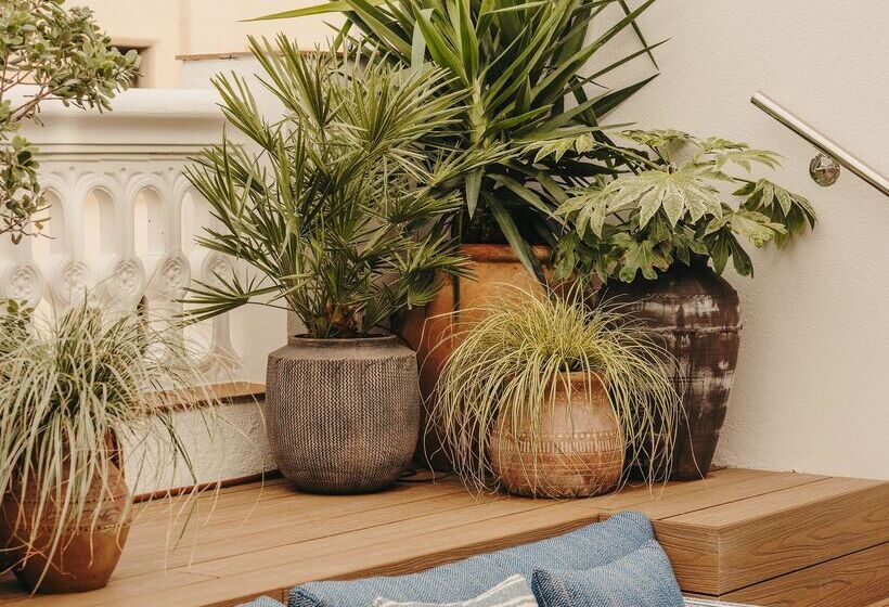 سوییت, Pulitzer Barcelona