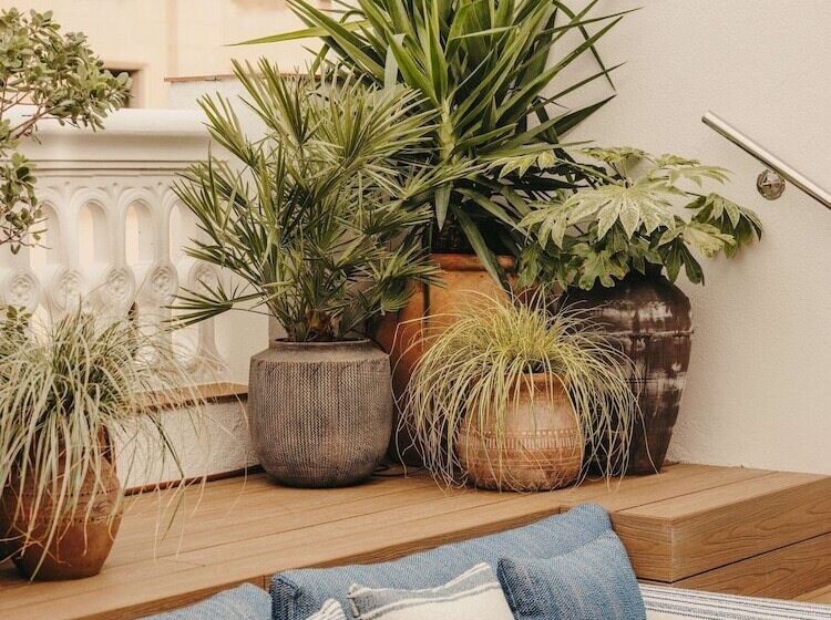 استودیوی استاندارد با چشمانداز شهر, Pulitzer Barcelona