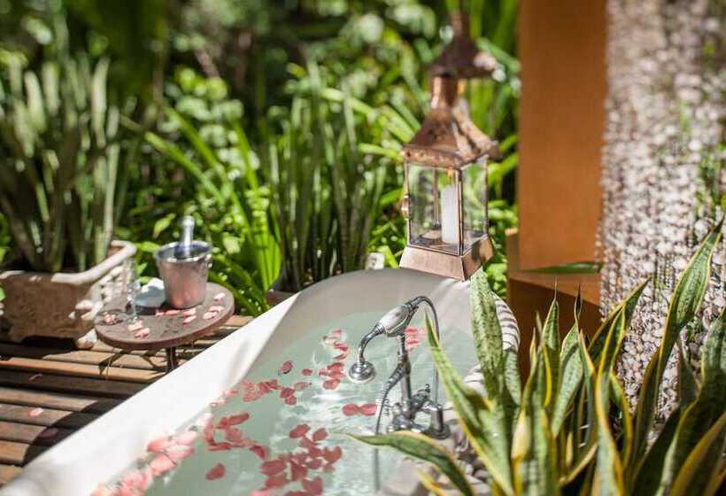 בקתה דלוקס, Toca Da Coruja