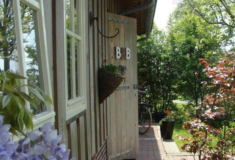 带露台的标准工作室, B&b De Pastorie Bij Dokkum