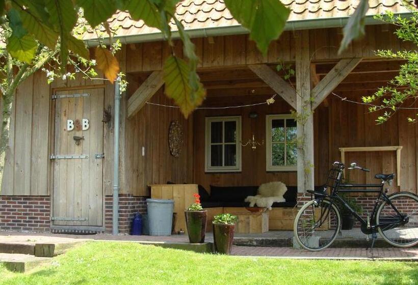 带露台的标准工作室, B&b De Pastorie Bij Dokkum