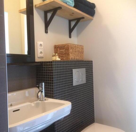 带露台的标准工作室, B&b De Pastorie Bij Dokkum