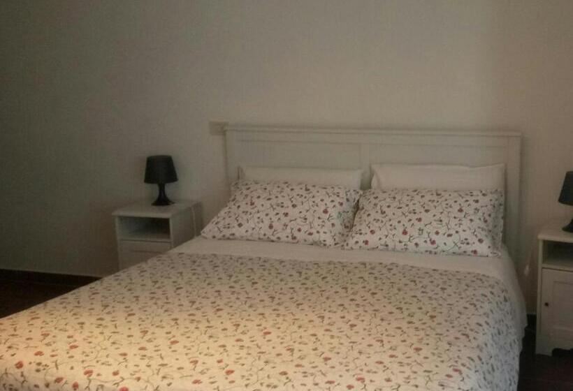 غرفة قياسية, Belle Marche