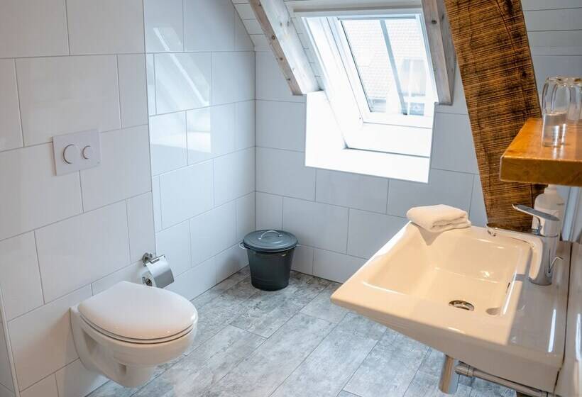 חדר דלוקס, De Raayhof