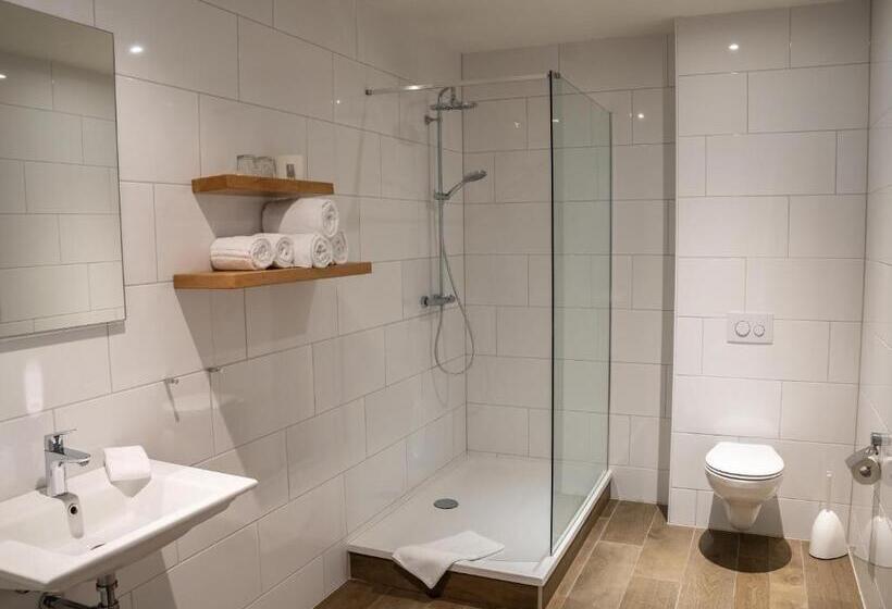 חדר דחוקס עם מיטת קינג, De Raayhof