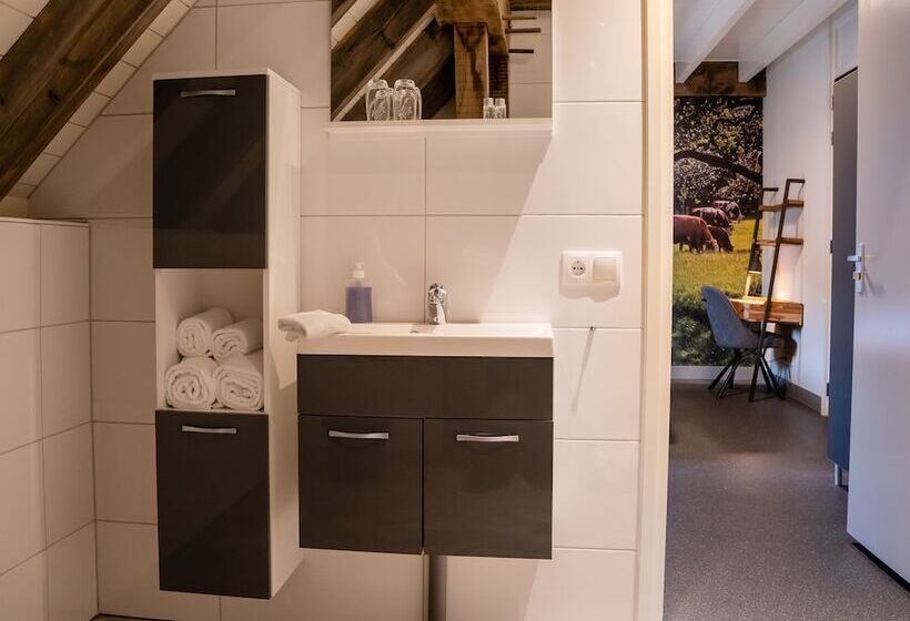 חדר דלוקס, De Raayhof