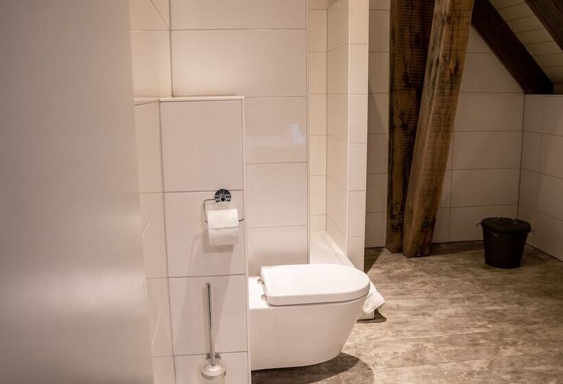 חדר דלוקס, De Raayhof