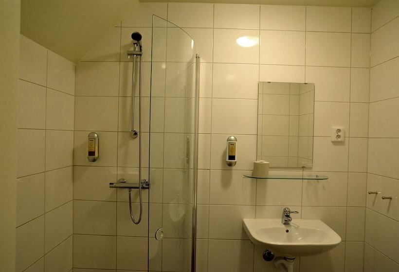 חדר סטנדרט יחיד, Hedenstugan B&b