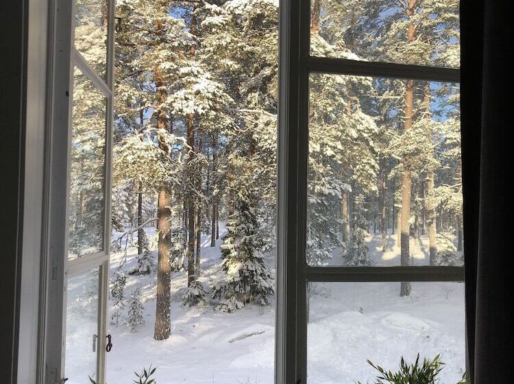 חדר סטנדרט יחיד, Hedenstugan B&b